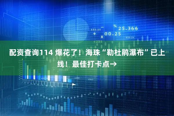 配资查询114 爆花了！海珠“勒杜鹃瀑布”已上线！最佳打卡点→
